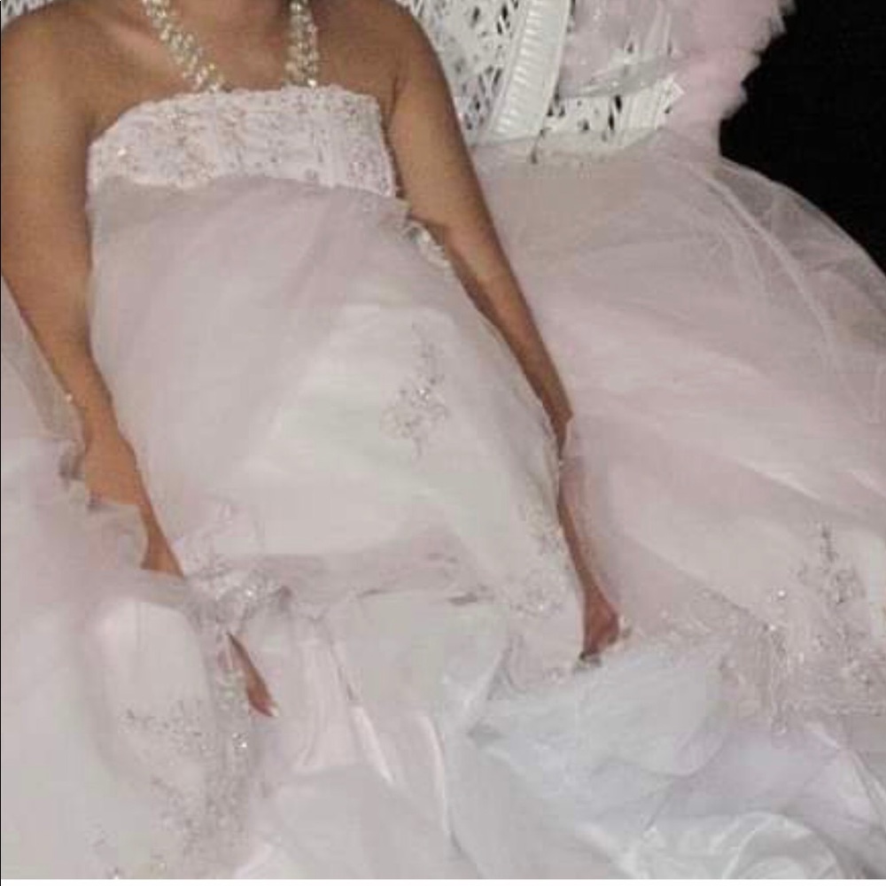 Excellent Condition Sweet 16 / Quinceañera Dress - Picture 3 of 3
